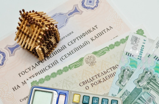 Более 900 тысяч российских семей с первыми детьми получают материнский капитал - «Образование»