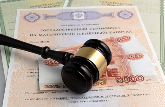 В Госдуме РФ предлагают заменить маткапитал на ежемесячные пособия - «Образование»