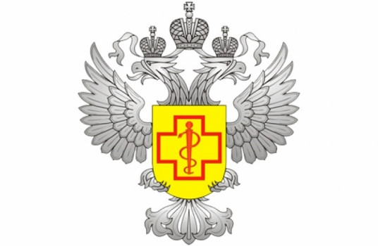 Роспотребнадзор составил 35,4 тыс. протоколов за нарушения по итогам проверок детских лагерей - «Образование»