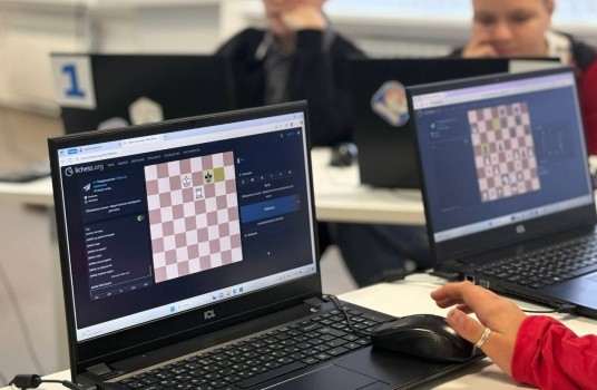 Шахматный турнир объединил школьников Тульской и Херсонской областей - «Образование»
