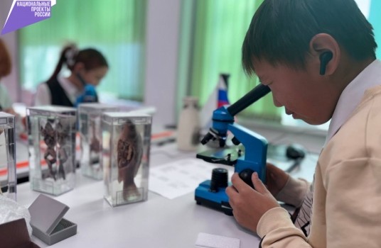 В двух сельских школах Хабаровского края завершился капитальный ремонт - «Образование»